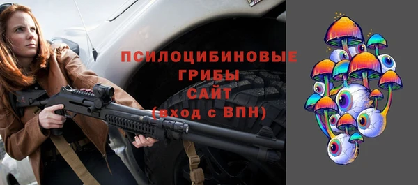 мдпв Заводоуковск