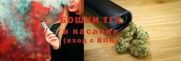 мдпв Заводоуковск