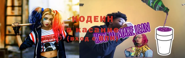 шишки Заволжск