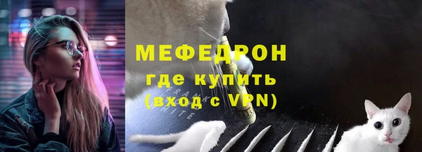 мдпв Заводоуковск