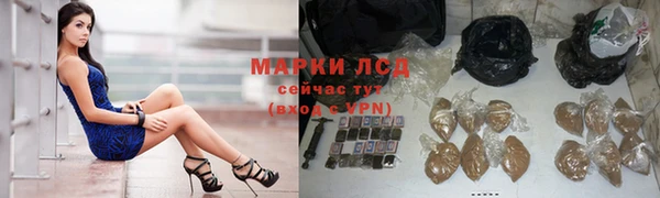 мдпв Заводоуковск