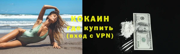 шишки Заволжск