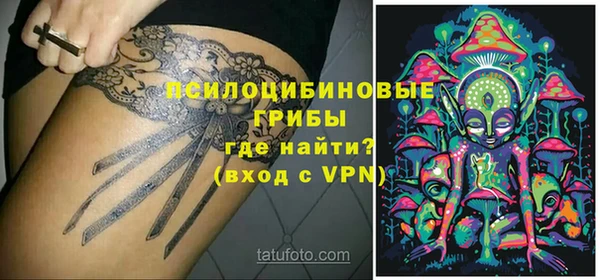 шишки Заволжск