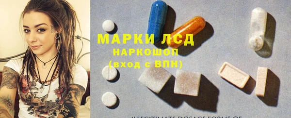 шишки Заволжск
