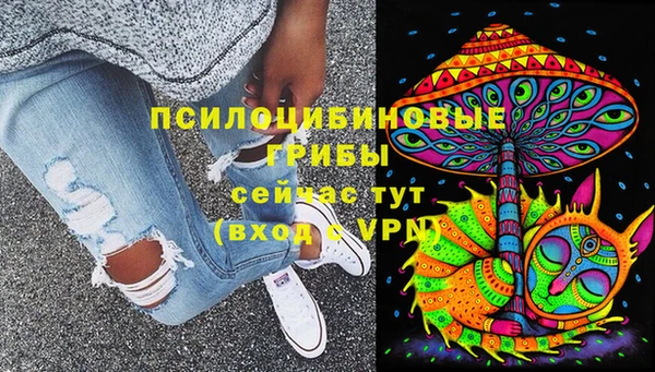 мдпв Заводоуковск