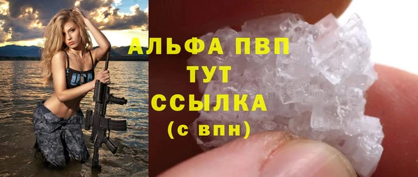 шишки Заволжск