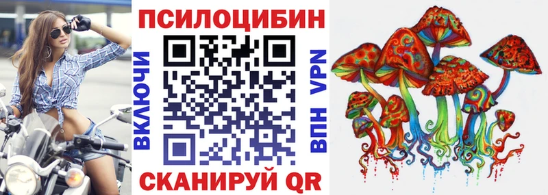 ссылка на мегу сайт  Каменка  Галлюциногенные грибы GOLDEN TEACHER 